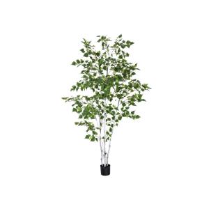 Albero di betulla EUROPALMS, pianta artificiale, 210cm