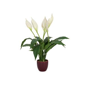 EUROPALMS Lily Peace, pianta artificiale, 49cm