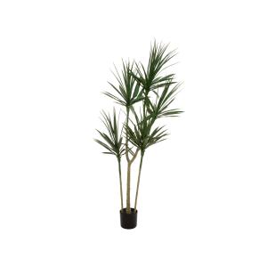 EUROPALMS Dracaena, pianta artificiale, verde, 170cm