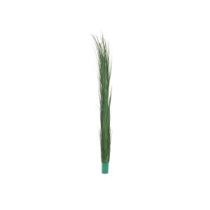 EUROPALMS Erba di canna, verde scuro, artificiale, 127cm