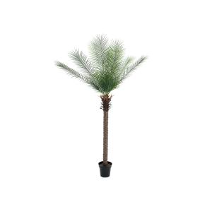 EUROPALMS Phoenix Palm Deluxe, pianta artificiale, 220cm