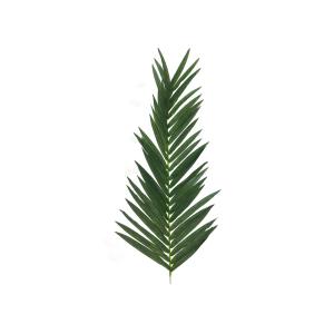 Ramo di palma artificiale Coconut King di EUROPALMS, 150cm