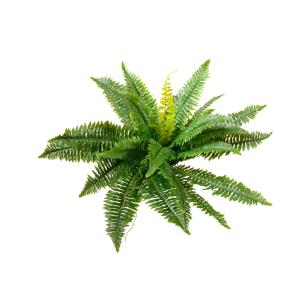 EUROPALMS Felce di Boston, pianta artificiale, 53cm