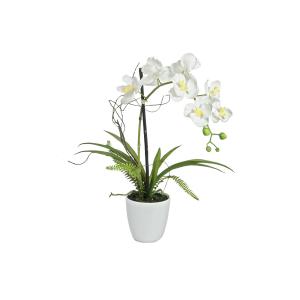 EUROPALMS - Composizione di orchidee 1, artificiale