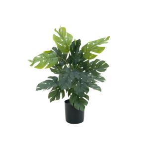 EUROPALMS Philo diviso, pianta artificiale, 38cm
