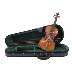 DIMAVERY Violino 1/4 con archetto, in custodia